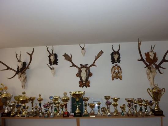 Výstavy a súťaže psov, a trófeje z polovačky