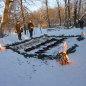Výrad