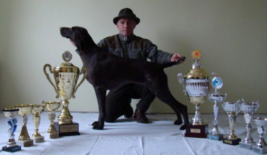 Výstavná sezóna 2010