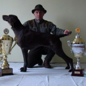 Výstavná sezóna 2010