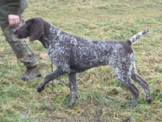 NKS z Potôňskej Lúky