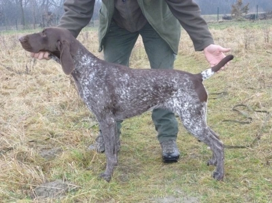 NKS Barka z Potôňskej Lúky