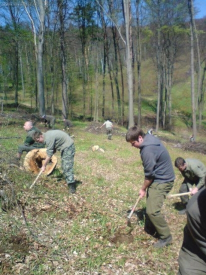 tohtorocna prax v SKL Cemajta