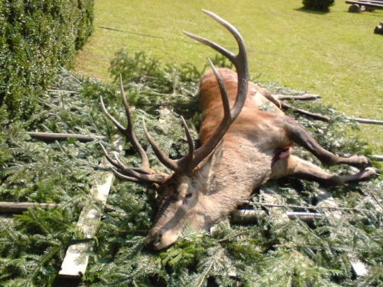 Deň Sv.Huberta v Bijacovciach