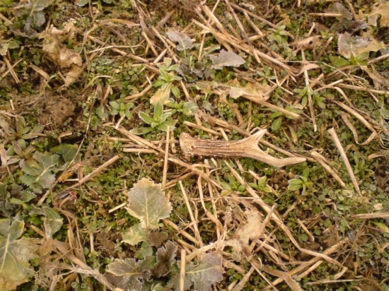 dnesny nahodne najdeny