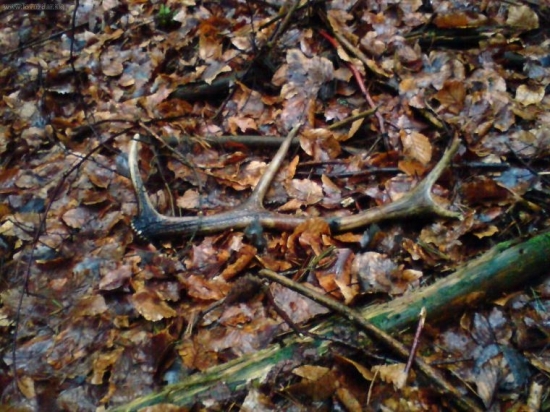 prvý tohtoročny ale je minuloročny :-)