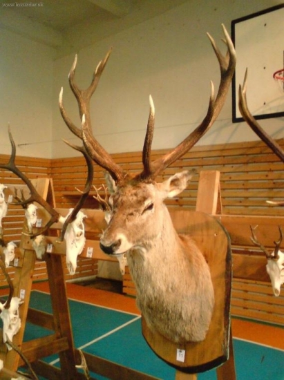 chovateľská prehliadka v SOŠ lesnickej v PO