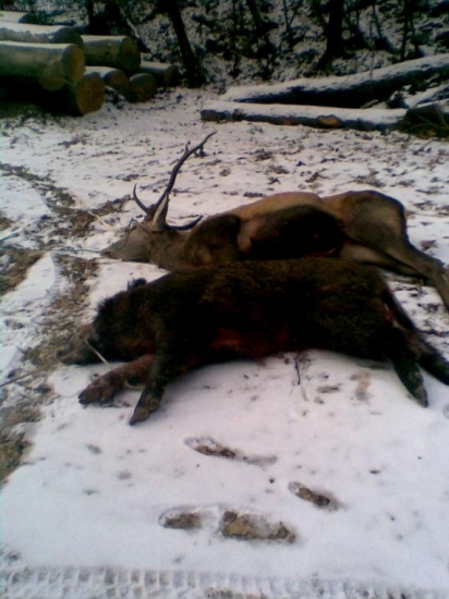 Úlovok z 31.12.2008