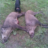 jedno pekne rano v auguste