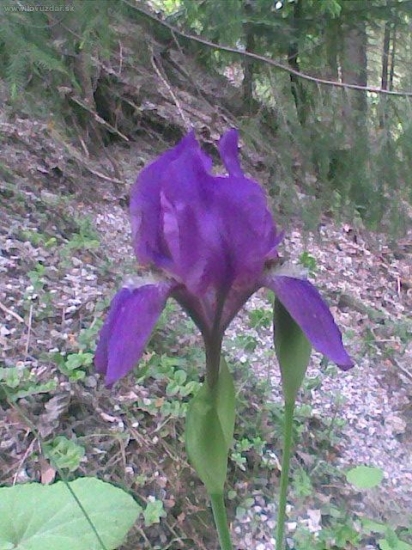 po ceste domov s praxe