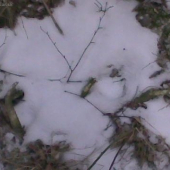 Pár rokov si poležal