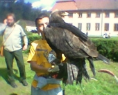 Malý chlapec s veľkým vtákom :o)