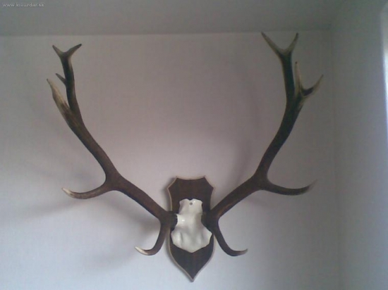 Po roku už konečne na stene