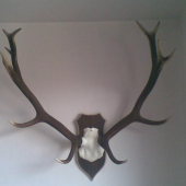 Po roku už konečne na stene