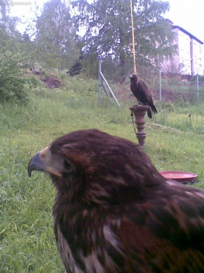 Moji dvaja žrači času