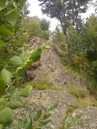 Skala