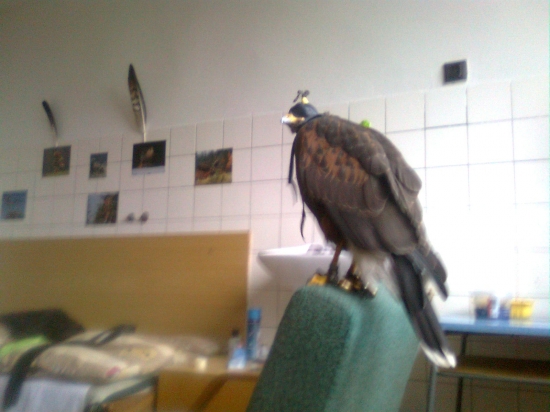 V domove mladeže-SOŠ lesnicka PO