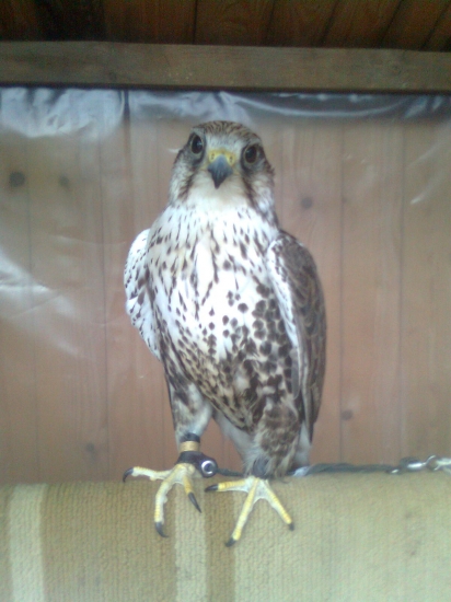 Krasna stara pani len škoda že vie iba pekne sediet na posede