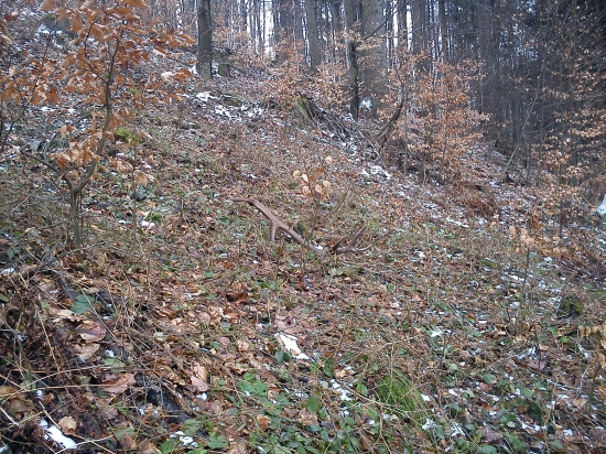 dnešný 14 - torák prvý pohľad