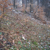 dnešný 14 - torák prvý pohľad