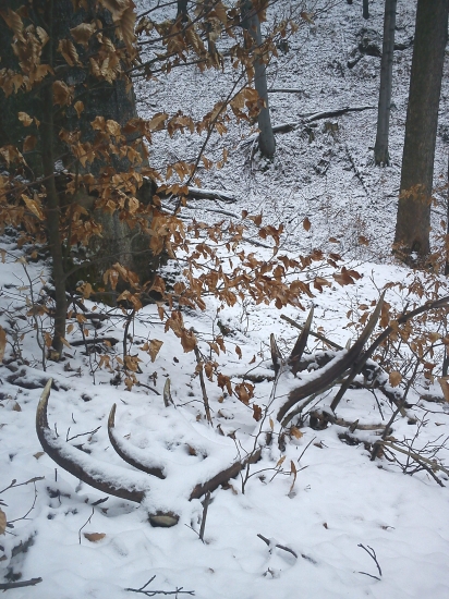 pár k ID 102553 dohľadaný dnes