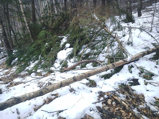 pondelkový 10-torák prvý pohľad