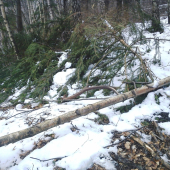 pondelkový 10-torák prvý pohľad