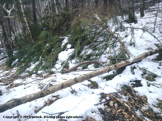 pondelkový 10-torák prvý pohľad