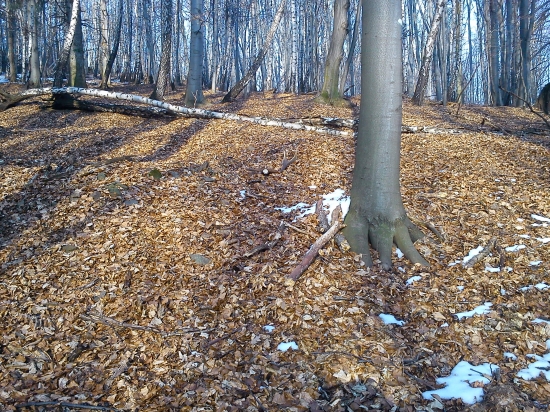 pár k ID 104660 prvý pohľad