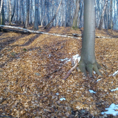 pár k ID 104660 prvý pohľad