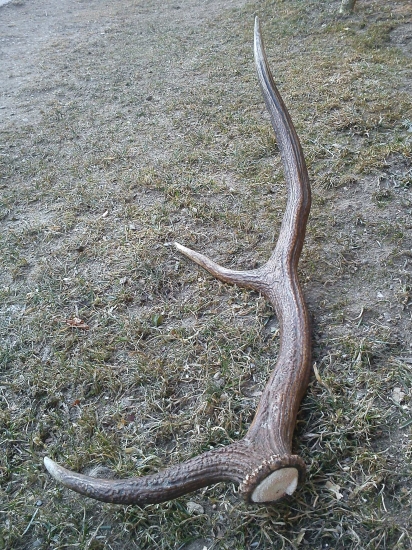 už aj takýto zhodil...