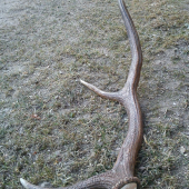 už aj takýto zhodil...