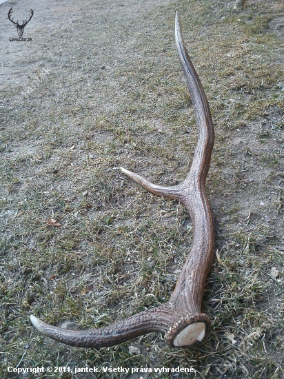 už aj takýto zhodil...