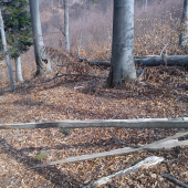 dnešný 8 torák - prvý pohľad