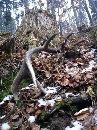 spomienka na február