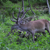 večerné stretnutie