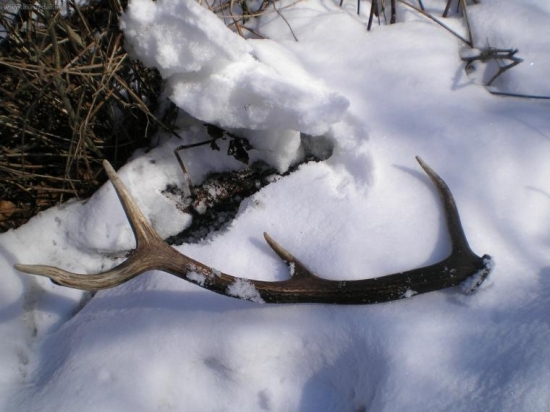 minuloročný-dnes nájdený