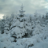 Na Idčianskom sedle