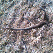 Konecne prvy v tomto roku