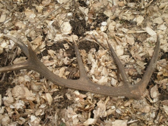 môj prvý štrnásťtorák