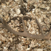 môj prvý štrnásťtorák