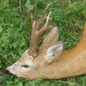 Bratrův nejsilnější