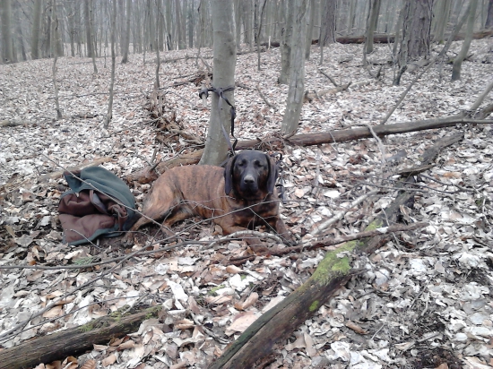 mary zo zeleneho domu