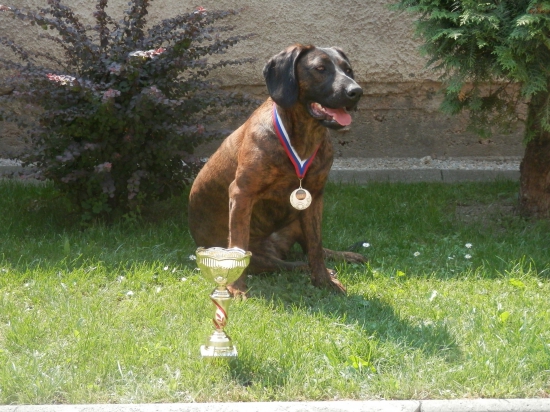 Mary zo zeleneho domu