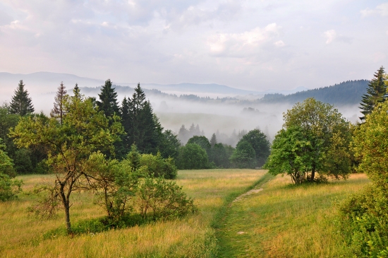 Ranné prebúdzanie