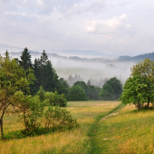 Ranné prebúdzanie