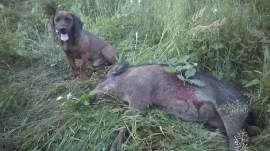 Prva dohladavka v sezone