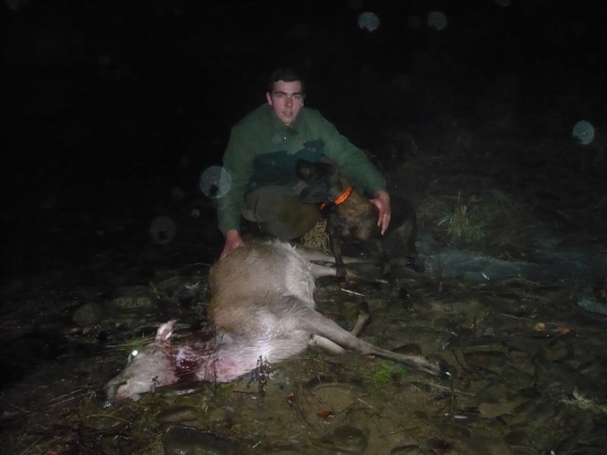 Juna zo Starej Hajnice