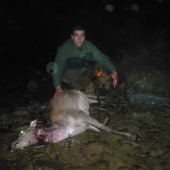 Juna zo Starej Hajnice