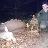 Slaba rana na krk = tazka dohladavka